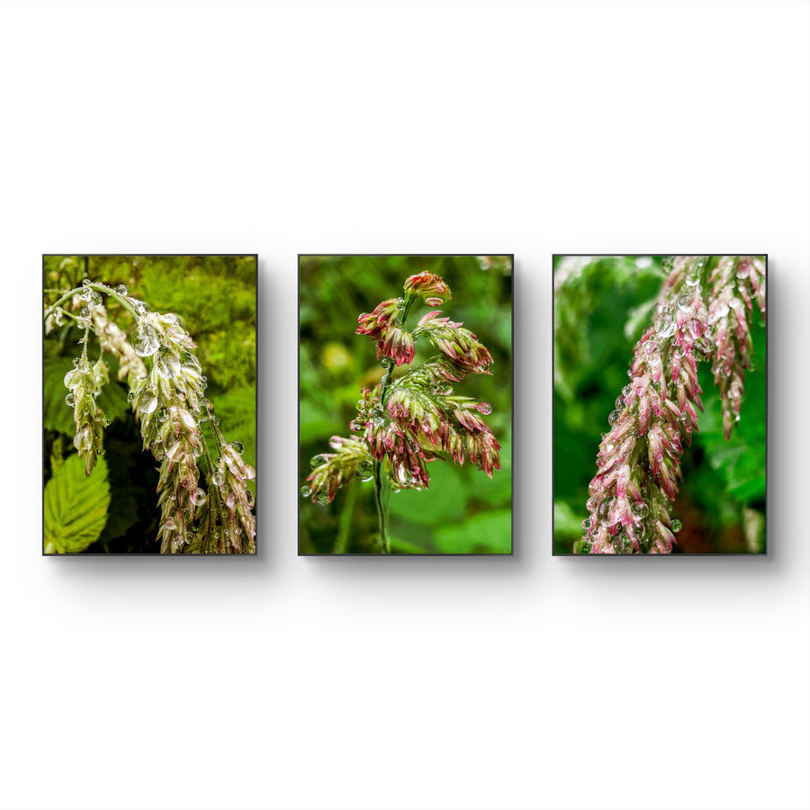 Wetland Grass with Raindrops Canvas Wall Art Set of 3