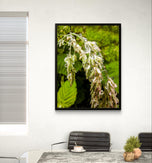 Wetland Grass with Raindrops - Authentic Macro Photography - Unframed Canvas Vertical 3 Prints Set - Biophilic Style Wall Art Decor
