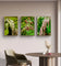 Wetland Grass with Raindrops - Authentic Macro Photography - Unframed Canvas Vertical 3 Prints Set - Biophilic Style Wall Art Decor