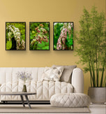 Wetland Grass with Raindrops - Authentic Macro Photography - Unframed Canvas Vertical 3 Prints Set - Biophilic Style Wall Art Decor