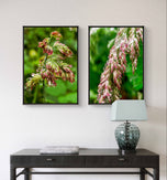 Wetland Grass with Raindrops - Authentic Macro Photography - Unframed Canvas Vertical 3 Prints Set - Biophilic Style Wall Art Decor
