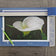 Kissed by Rain — White Arum Lily with Raindrops | Macro Photography Canvas Wall Art | Unframed Horizontal Print | Biophilic Decor