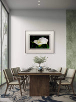 Kissed by Rain — White Arum Lily with Raindrops | Macro Photography Canvas Wall Art | Unframed Horizontal Print | Biophilic Decor