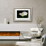 Kissed by Rain — White Arum Lily with Raindrops | Macro Photography Canvas Wall Art | Unframed Horizontal Print | Biophilic Decor