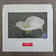 Kissed by Rain — White Arum Lily with Raindrops | Macro Photography Canvas Wall Art | Unframed Horizontal Print | Biophilic Decor