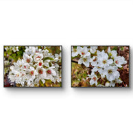 files/White-Cherry-Blossom-Canvas-Wall-Art-Set-of-2-Authentic-Photography-Unframed-Horizontal-Prints_3.jpg
