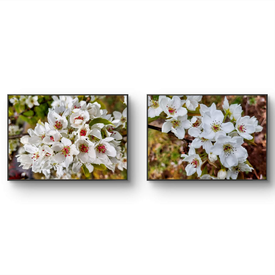White Floral Canvas Wall Art Set of 2