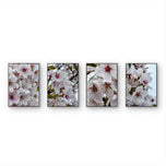 White Cherry Blossom Rain Photography Canvas Set of 4 | Unframed Vertical Prints | Biophilic Décor for Living Room, Bedroom & Office