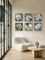 White Magnolia Blossom Macro Photography Canvas Set of 6 | Unframed Square Prints | Biophilic Décor for Living Room, Bedroom & Office