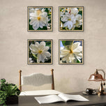 White Magnolia Blossom Macro Photography Canvas Set of 6 | Unframed Square Prints | Biophilic Décor for Living Room, Bedroom & Office