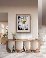 White Rose Canvas Art "The Bloom of Grace" | A Story of Resilience & Second Chances | Authentic Miracle Garden Photography | Biophilic Vertical Wall Decor