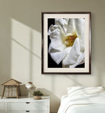 White Rose Canvas Art "The Bloom of Grace" | A Story of Resilience & Second Chances | Authentic Miracle Garden Photography | Biophilic Vertical Wall Decor