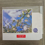 Kissed by Rain — White Spirea Flowers with Raindrops Macro Photography | Biophilic White Floral Canvas Wall Art | Unframed Horizontal Print