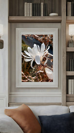 White Star Magnolia Blossom Photography Canvas Set of 3 | Unframed Vertical Prints | Biophilic Décor for Living Room, Bedroom & Office