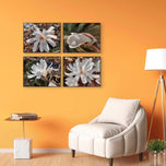 White Star Magnolia Blossom Photography Canvas Set of 4 | Unframed Horizontal Prints | Biophilic Décor for Living Room, Bedroom & Office