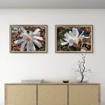 White Star Magnolia Blossom Photography Canvas Set of 4 | Unframed Horizontal Prints | Biophilic Décor for Living Room, Bedroom & Office