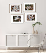 White Star Magnolia Blossom Photography Canvas Set of 4 | Unframed Horizontal Prints | Biophilic Décor for Living Room, Bedroom & Office