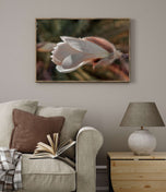 White Star Magnolia Blossom Photography Canvas Set of 4 | Unframed Horizontal Prints | Biophilic Décor for Living Room, Bedroom & Office