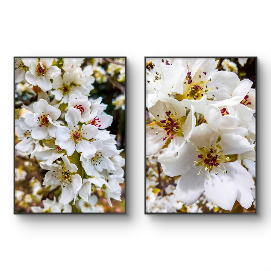 White Cherry Blossom Canvas Wall Art Set of 2