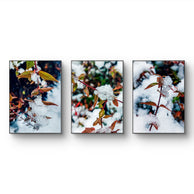 files/Winter-Frost-Covered-Red-Leaves-Authentic-Macro-Photography-Unstretched-Canvas-Vertical-3-Prints-Set_6.jpg