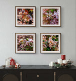 Winter Frost Leaves Photography Print Set of 4 | Unframed Canvas Wall Art | Biophilic Nature Decor | Square Macro Botanical Prints | Holiday Gift