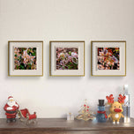 Winter Frost Leaves Photography Print Set of 4 | Unframed Canvas Wall Art | Biophilic Nature Decor | Square Macro Botanical Prints | Holiday Gift