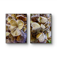 files/Winter-Frosty-Hydrangea-Authentic-Macro-Photography-Nature_s-Calming-Elegance-Unframed-Canvas-Vertical-Print-Set-of-2-Biophilic-Wall-Decor_2.jpg