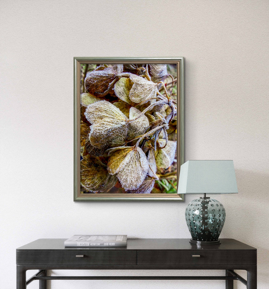 Framed frosty hydrangea petals macro photography print on a wall above a console table with a lamp.