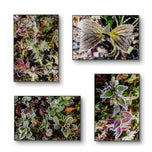 Winter Frosty Leaves Authentic Macro Photography | Nature's Jeweled Elegance | Unframed Canvas Mixed Orientation Print Set of 4 | Biophilic Wall Decor