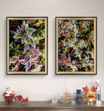 Winter Frosty Leaves Authentic Macro Photography | Nature's Jeweled Elegance | Unframed Canvas Mixed Orientation Print Set of 4 | Biophilic Wall Decor