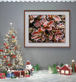 Winter Frosty Leaves Authentic Pacific Northwest Nature Photography | Canvas Wall Art Set of 4 | Vertical & Horizontal Unframed Prints | Biophilic Home Decor | Holiday Gift