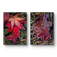 files/Winter-Frosty-Maple-Leaves-Authentic-Macro-Photography-Unframed-Canvas-Vertical-Print-Set-of-2-Biophilic-Wall-Decor_4.jpg