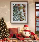 Winter Snowy Evergreen Trees Authentic Photography | Forest Serenity | Unframed Canvas Mixed Orientation Print Set of 4 | Biophilic Wall Decor