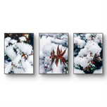 Winter Snowy Foliage Authentic Macro Photography | Unframed Canvas Vertical 3 Prints Set | Biophilic Style Wall Art Decor