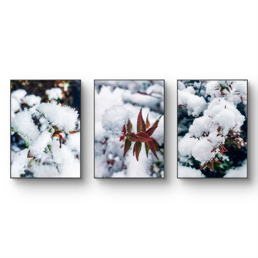 Winter Snowy Foliage Authentic Macro Photography on Canvas