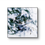 Winter Snowy Grass Authentic Macro Photography | Minimalist Serenity | Unframed Canvas Square Print | Biophilic Wall Decor