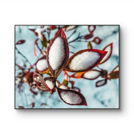 files/Winter-Snowy-Red-Leaves-Authentic-Macro-Nature-Photography-Print-on-Unframed-Horizontal-Canvas-Biophilic-Wall-Art-Decor-Holiday-Gift_2.jpg
