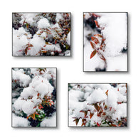 Winter Snowy Red Leaves Authentic Macro Photography | Unstretched Canvas Wall Art Set of 4 | Biophilic Vertical & Horizontal Prints | Holiday Gift