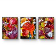 files/Winter-Snowy-Red-Leaves-Canvas-Print-Set-Macro-Photography-Wall-Art-3-Piece_3.jpg