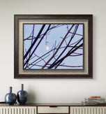 Winter Tree Branches Canvas Print | Blue Sky White Moon | Authentic Nature Photography | Biophilic Wall Art | Unframed Horizontal | Holiday Gift