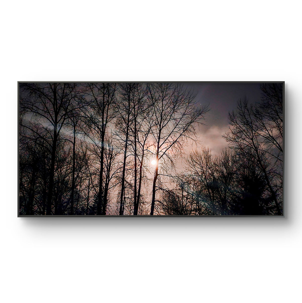 Winter Tree Branches with Moon Authentic Photography