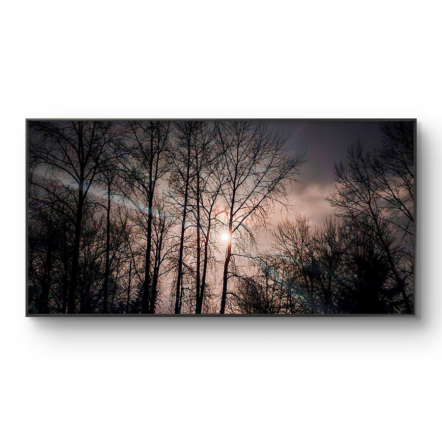 Winter Tree Branches with Moon Authentic Photography