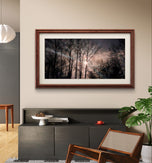 Winter Tree Branches with Moon Authentic Photography | Unstretched Canvas Horizontal Print | Biophilic Style Wall Art Decor