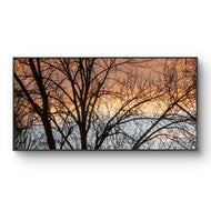 Winter Trees Against Golden Sunset Sky - Unframed Canvas Print - Horizontal Panoramic Nature Photography - Biophilic Wall Art Decor - 3 Sizes