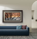 Winter Trees Against Golden Sunset Sky - Unframed Canvas Print - Horizontal Panoramic Nature Photography - Biophilic Wall Art Decor - 3 Sizes