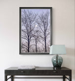 Winter Trees and Moon Authentic Nature Photography | Unframed Canvas Vertical Print | Biophilic Wall Art Decor | Holiday Gift