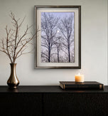 Winter Trees and Moon Authentic Nature Photography | Unframed Canvas Vertical Print | Biophilic Wall Art Decor | Holiday Gift
