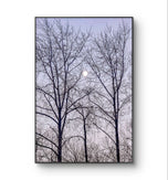 Winter Trees and Moon Authentic Nature Photography | Unframed Canvas Vertical Print | Biophilic Wall Art Decor | Holiday Gift