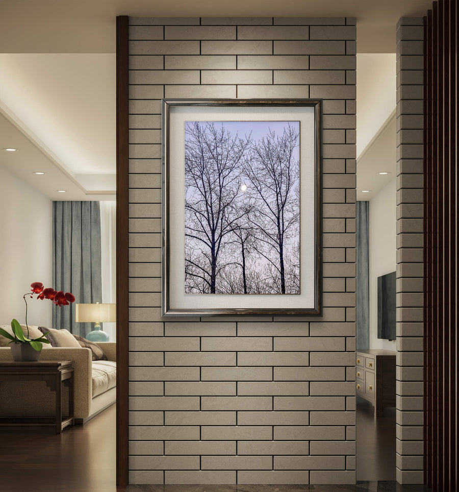 Framed Vertical Wall Art of Winter Trees and Moon Authentic Nature Photography print hanging in hallway