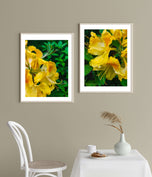 Yellow Rhododendron Flowers Canvas Wall Art Set of 4 | Unframed Vertical Macro Photography Prints | Biophilic Décor for Living Room, Bedroom & Office